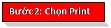 Text Box: Bước 2: Chọn Print